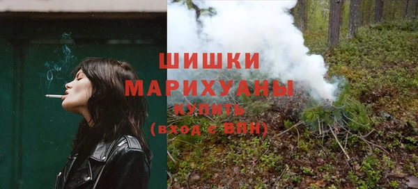 мдпв Горнозаводск