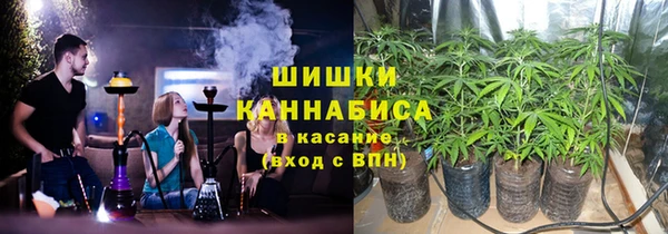 ГАЛЛЮЦИНОГЕННЫЕ ГРИБЫ Алексин