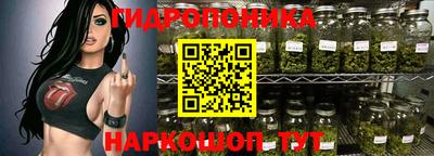 mdpv Краснознаменск