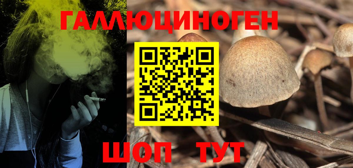 Галлюциногенные грибы Psilocybine cubensis  Вход с VPN  Кострома  Галлюциногенные грибы Cubensis 